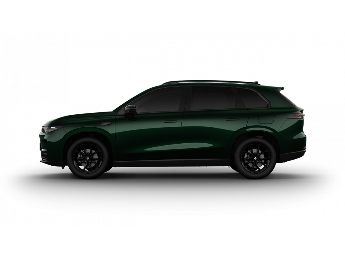 LEAPMOTOR C10 