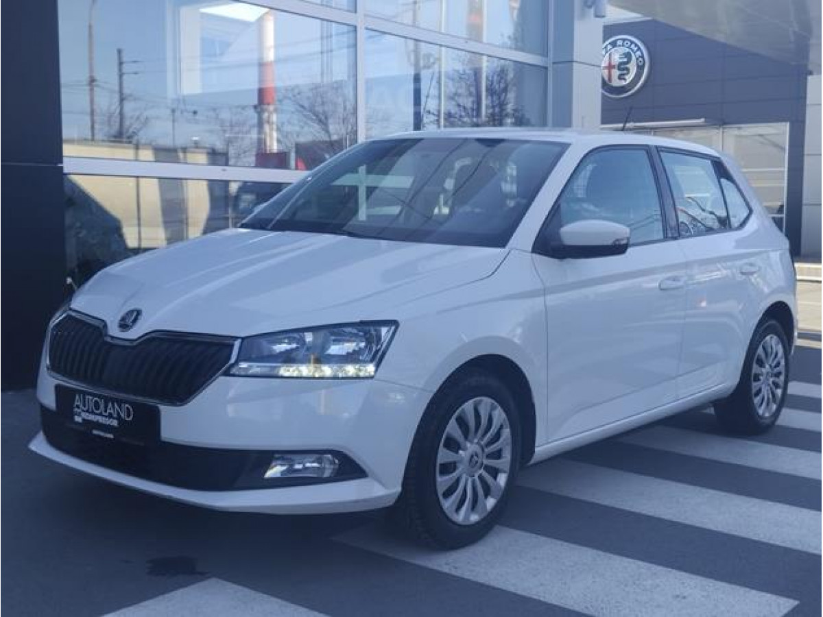 Škoda Fabia 1.0 Van