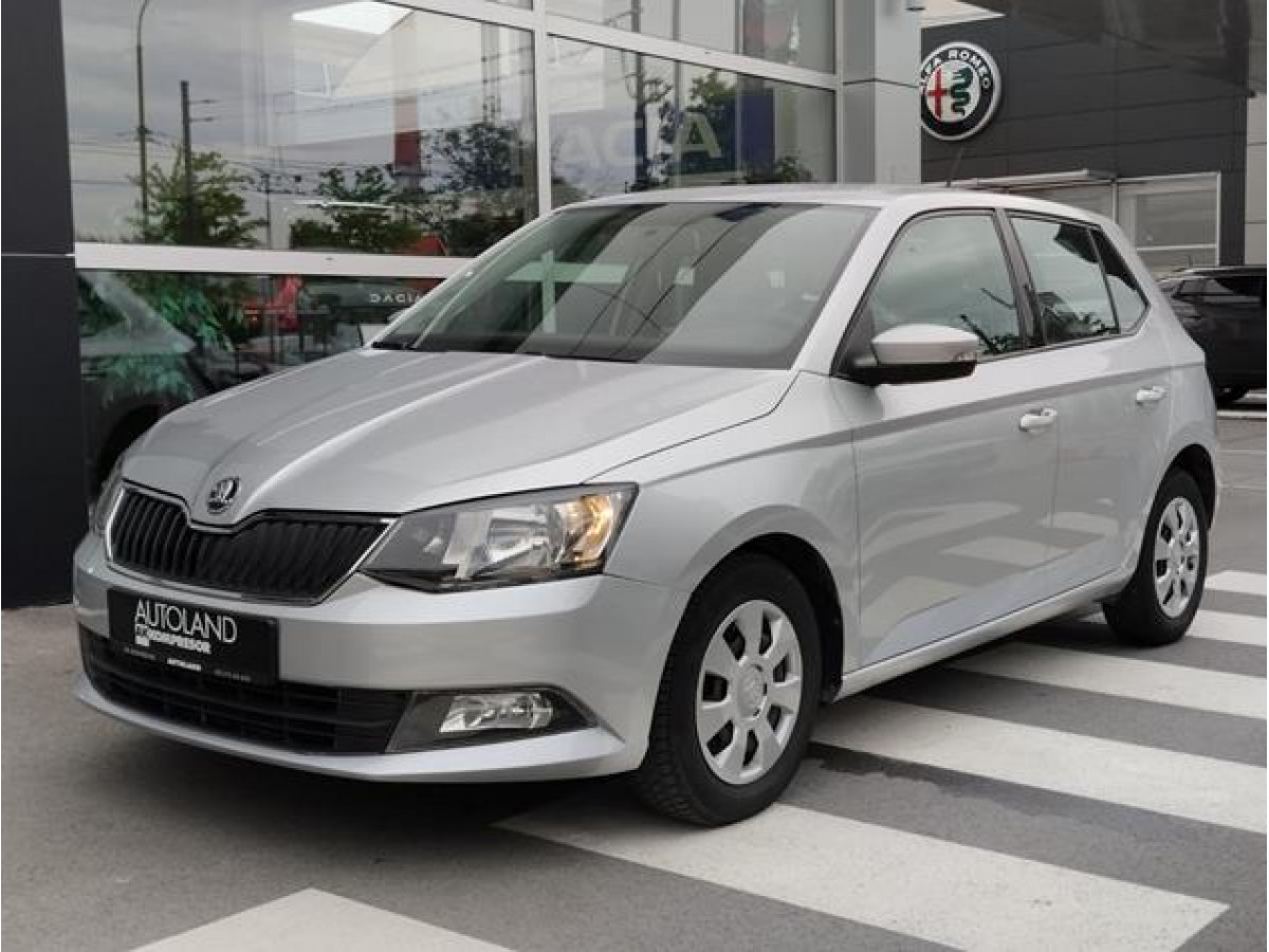 Škoda Fabia 1.0 Van