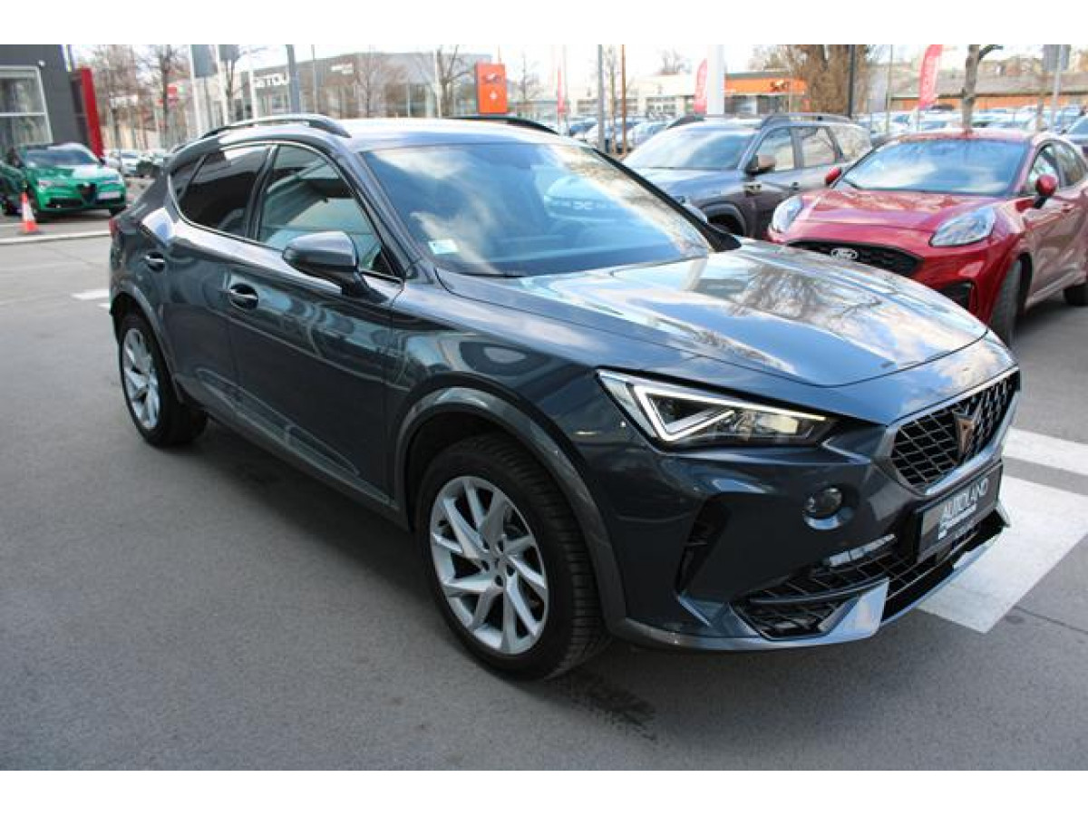 Cupra Formentor 1.5 TSI DSG 