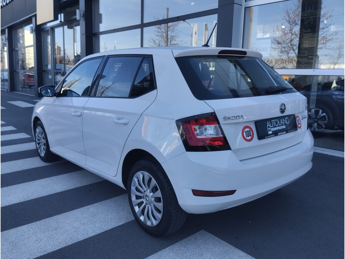 Škoda Fabia 1.0 Van