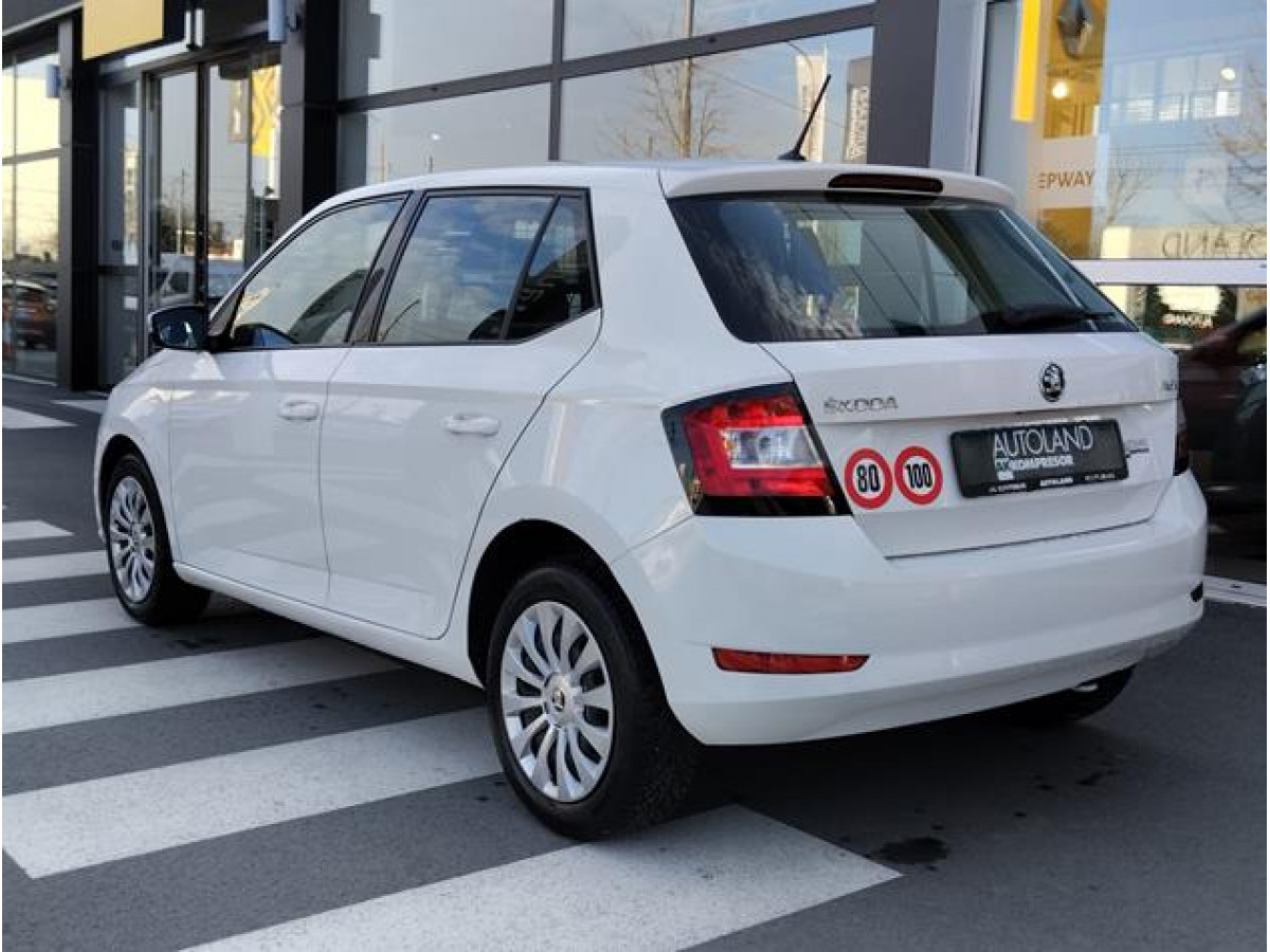 Škoda Fabia 1.0 Van