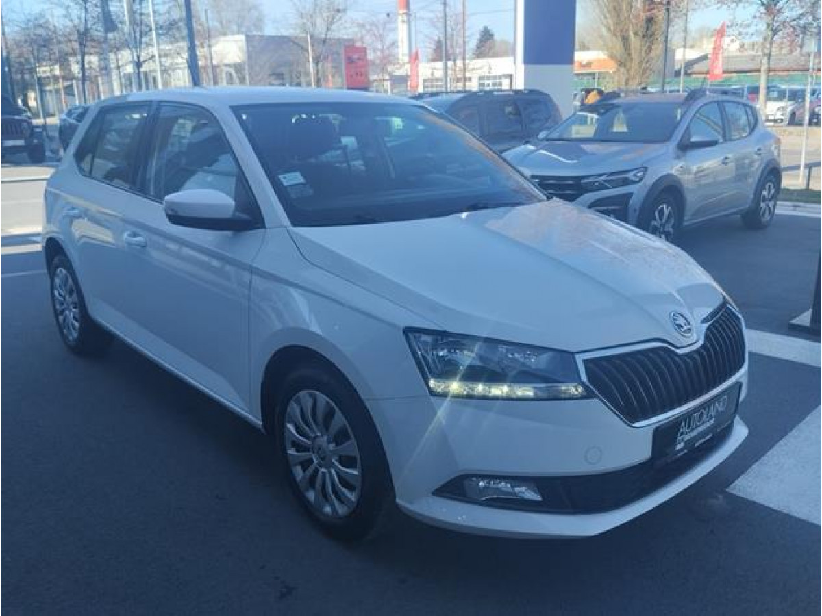 Škoda Fabia 1.0 Van