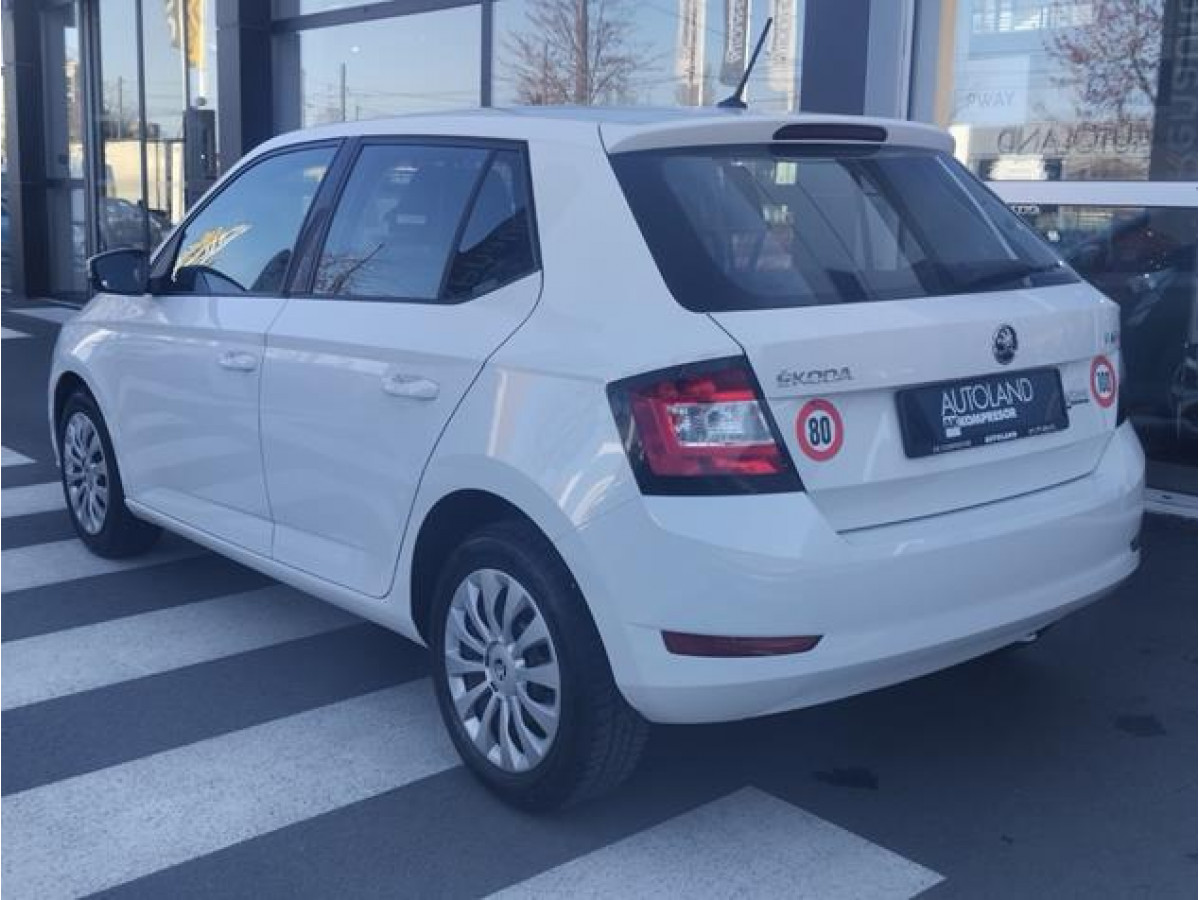 Škoda Fabia 1.0 Van