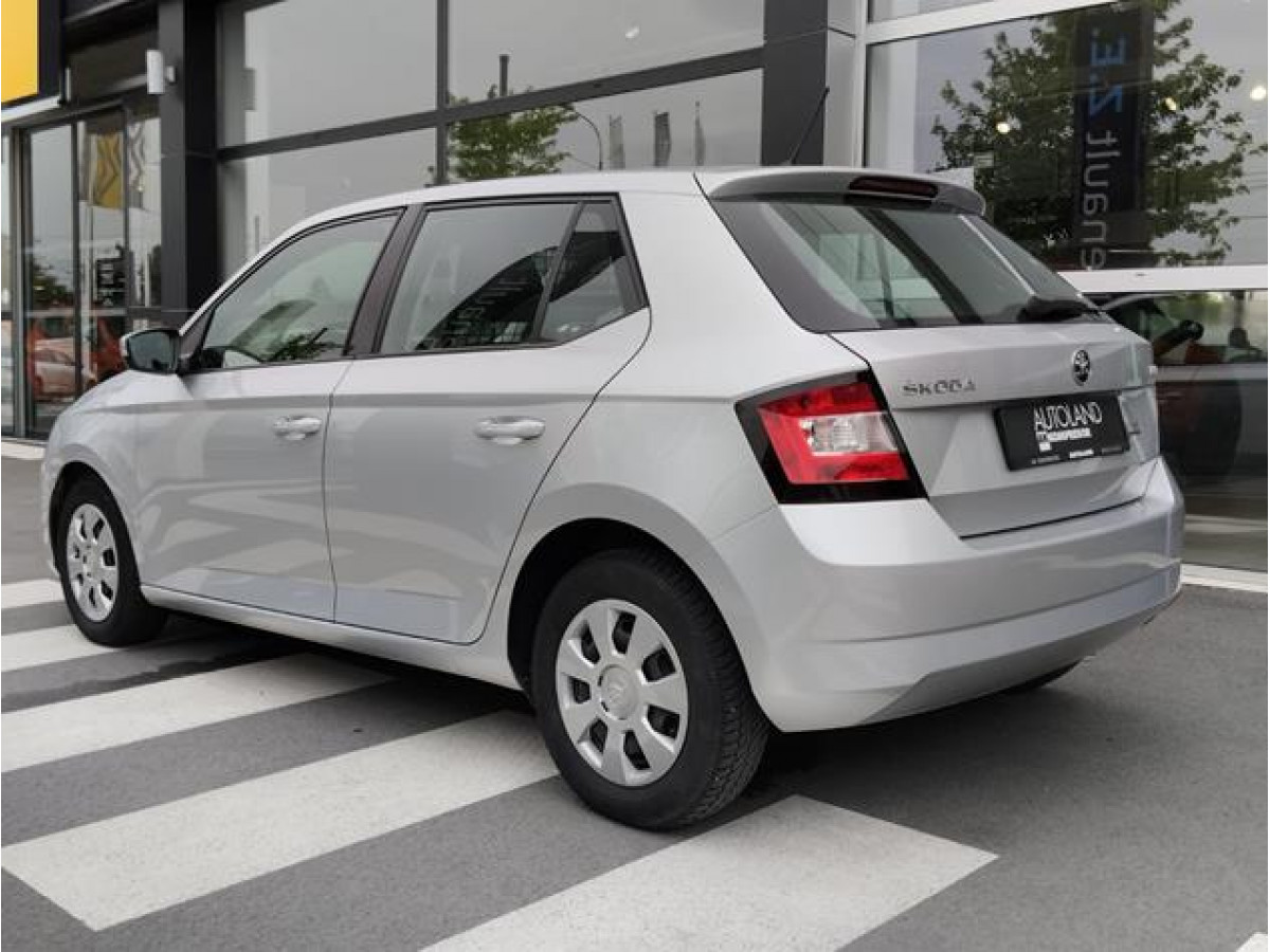Škoda Fabia 1.0 Van