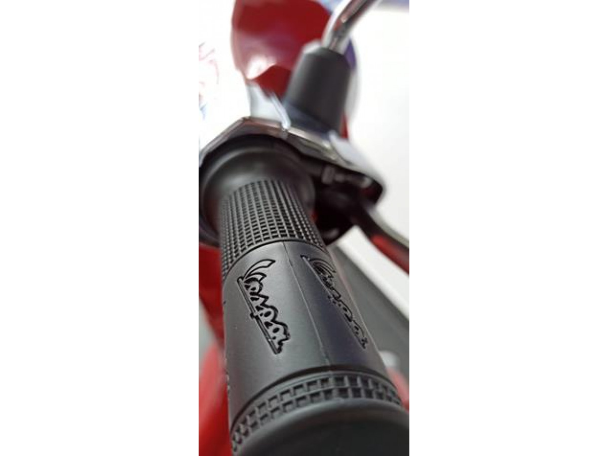 Vespa Primavera 50 Red