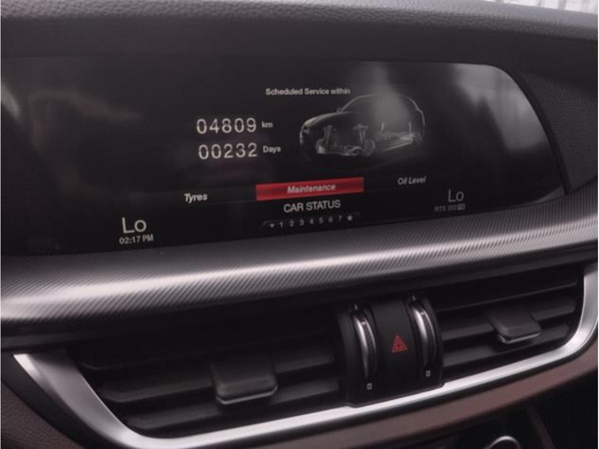 Alfa Romeo Stelvio 2.2 jtdm AUT Q4