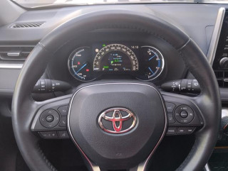 Toyota RAV 4 2.5 Hybrid AUT Awd 