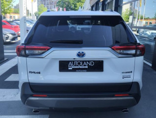 Toyota RAV 4 2.5 Hybrid AUT Awd 