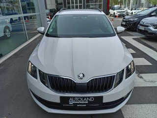 Škoda Octavia 2.0 TDI DSG 4X4
