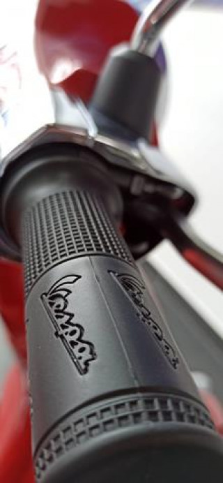 Vespa Primavera Red 50